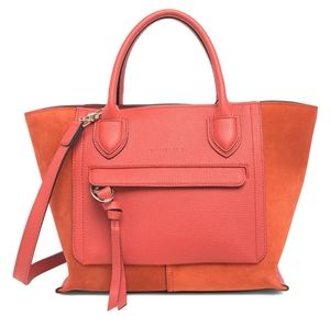 Longchamp mailbox bag